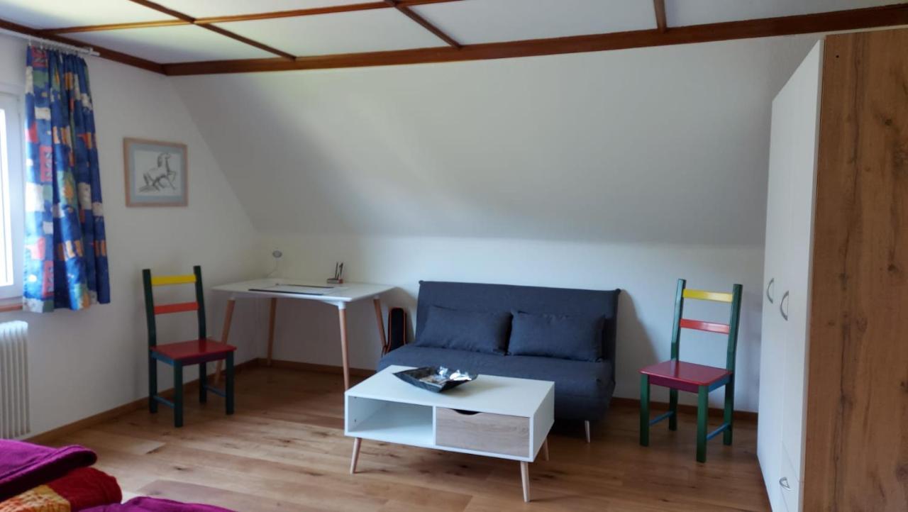Ferienhaus Barbey St. Blasien Extérieur photo