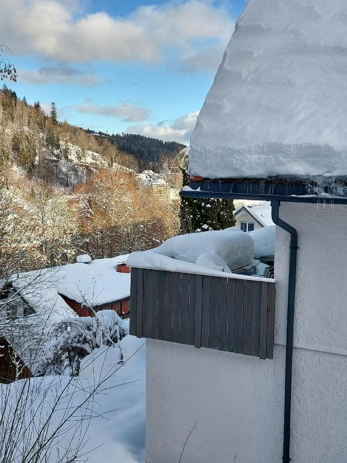 Ferienhaus Barbey St. Blasien Extérieur photo