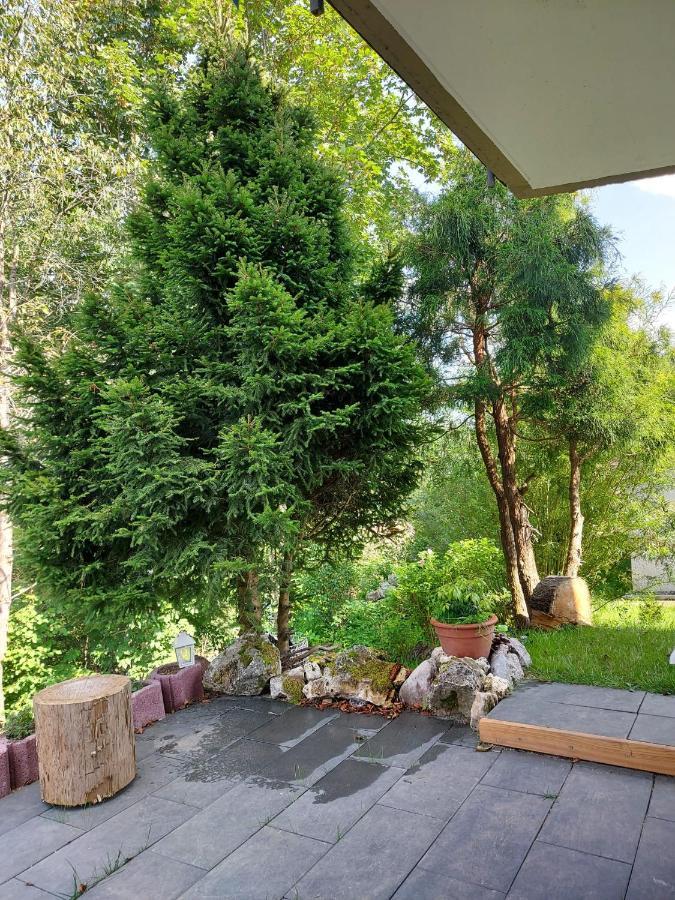 Ferienhaus Barbey St. Blasien Extérieur photo