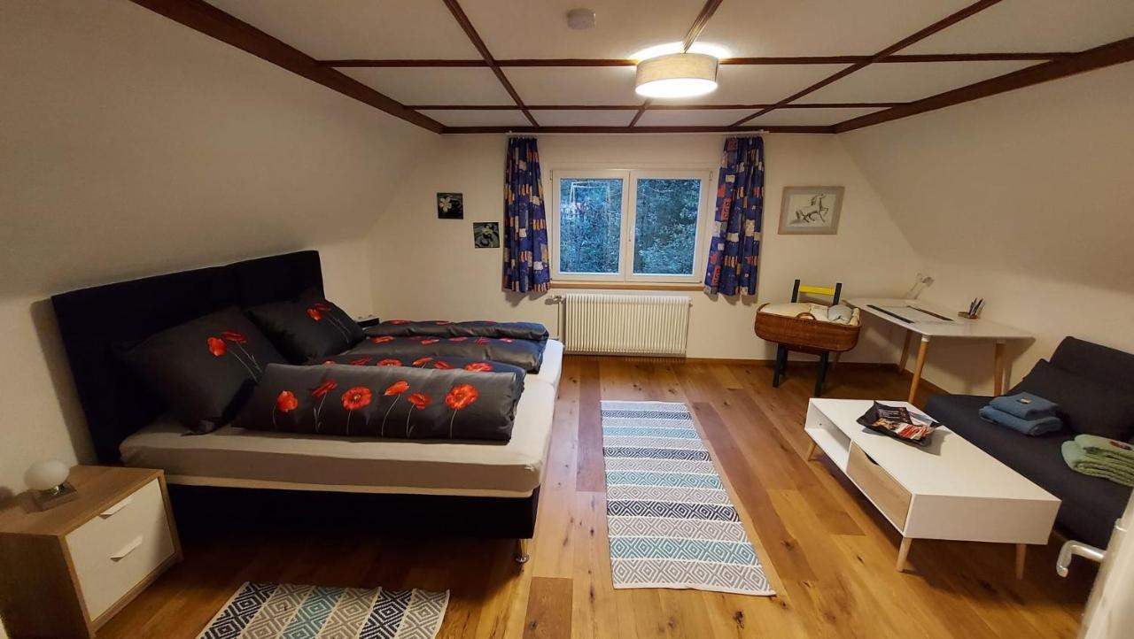 Ferienhaus Barbey St. Blasien Extérieur photo
