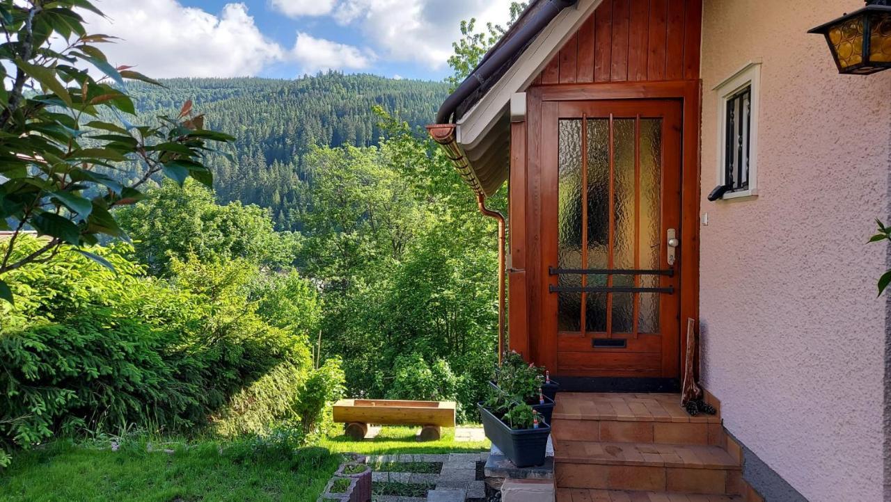 Ferienhaus Barbey St. Blasien Extérieur photo